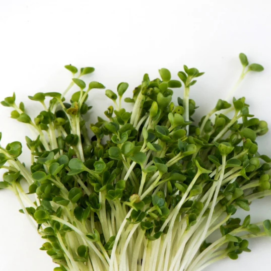 Kale