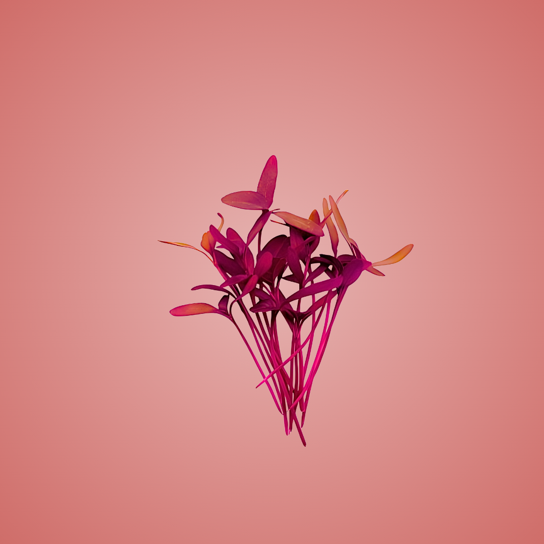 Amaranth