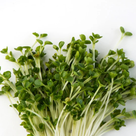 Kale