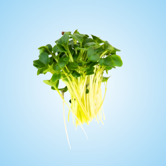 Kale
